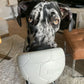Nylabone Power Play Gripz Dog Soccer Ball Dog Toy Medium/Wolf up to 35, view 2