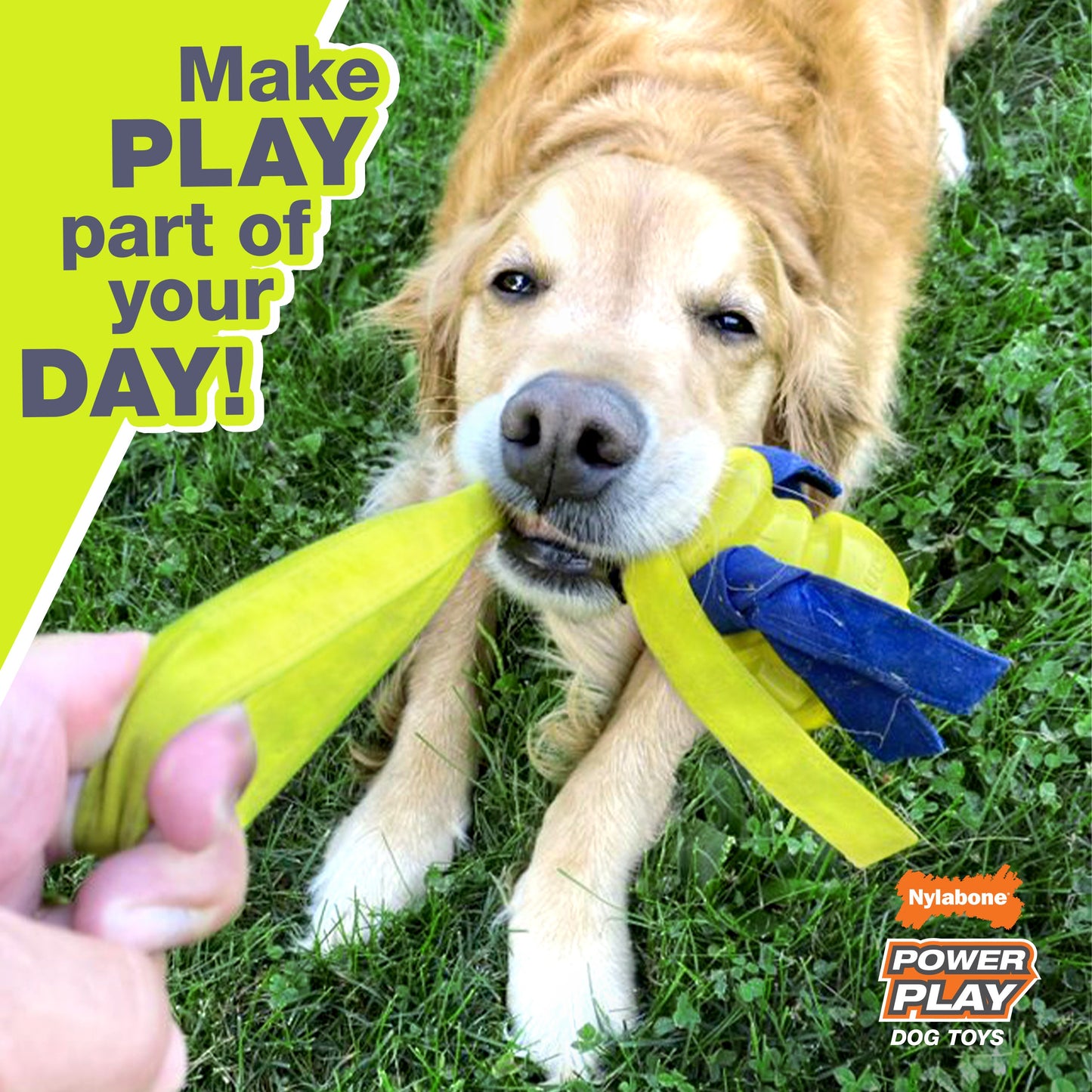 Nylabone Power Play Gripz Dog Soccer Ball Dog Toy Medium/Wolf up to 35, view 5