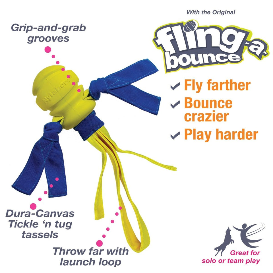 Nylabone Power Play Fling-a-Bounce Interactive Dog Toy Medium/Wolf, up to 35 lb - Pets Perfect