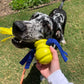 Nylabone Power Play FlingaBounce Interact. Dog Toy Large/Giant up to, view 2