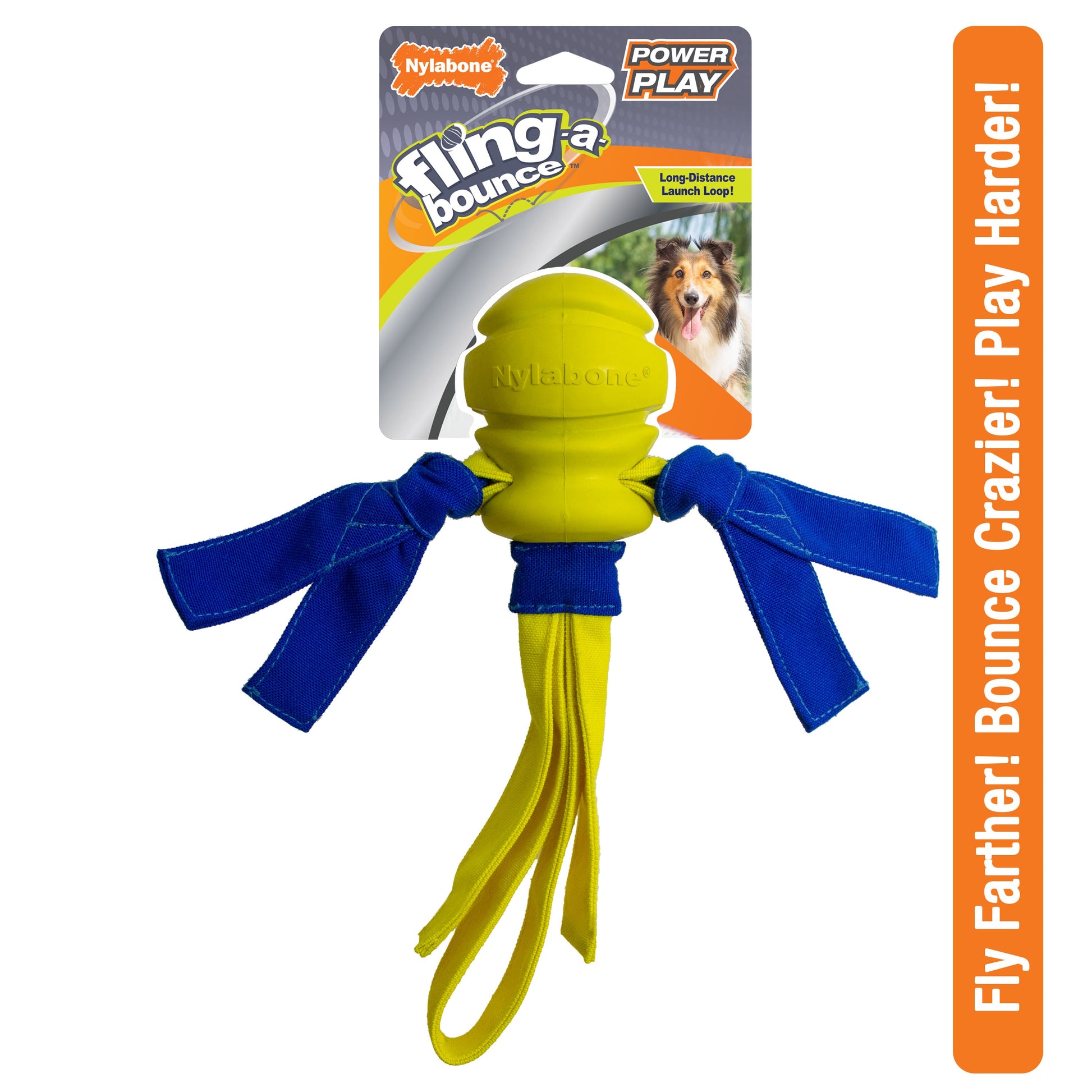 Nylabone Power Play FlingaBounce Interact. Dog Toy Large/Giant up to, view 11