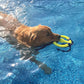 Nylabone Power Play Ring Thing Floatable Dog Toy Medium/Wolf up to 35, view 5