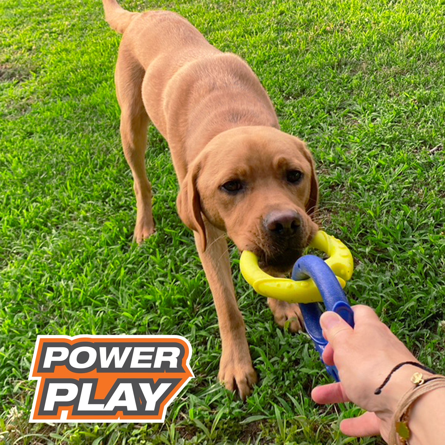 Nylabone Power Play Tug-a-Ball 2-in-1 Ball and Tug Dog Toy for Dogs, view 5