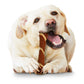 Nylabone Power Chew Pork Hide Alternative Dog Chew Toy Bacon & Peanut, view 3
