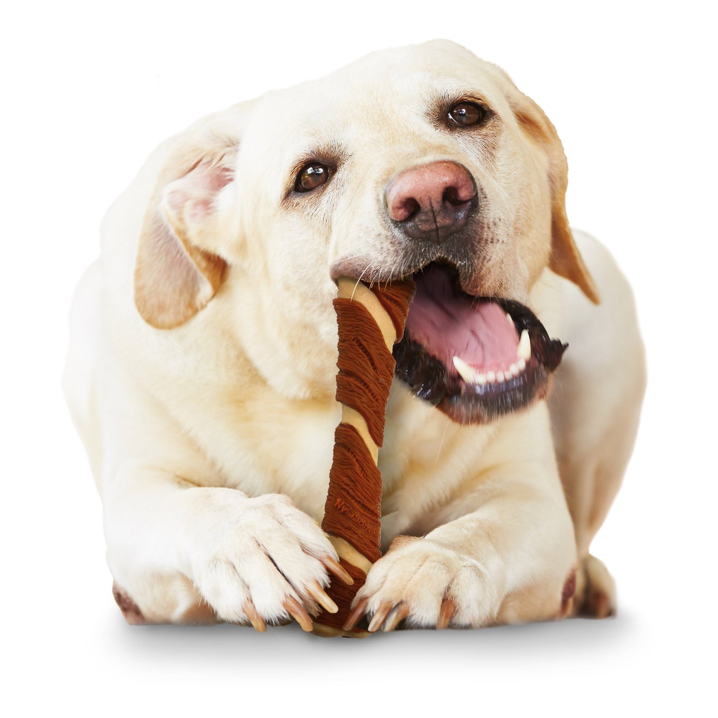 Nylabone Power Chew Pork Hide Alternative Dog Chew Toy Bacon & Peanut, view 3