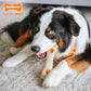 Nylabone Power Chew Souper Bone PopIn Treat Dog Toy Combo Chicken, view 3
