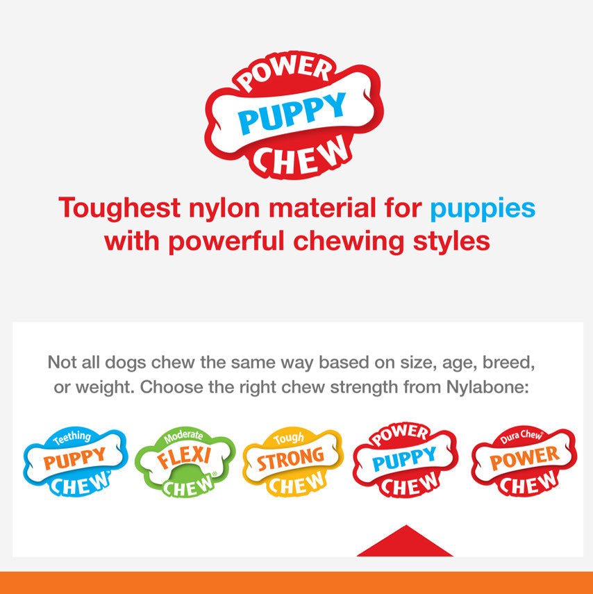 Nylabone Puppy Power Chew Axis Bone Nylon Chew Dog Toy Vanilla, Small/Regular up to 25 lb. 1 ct - Pets Perfect