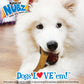 Nylabone Natural Nubz Dog Treats, Jumbo up to 50 lb. 2 ct, view 5