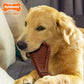 Nylabone Power Chew Arch Bone Dog Dental Chew Dog Toy Large/Giant up, view 4