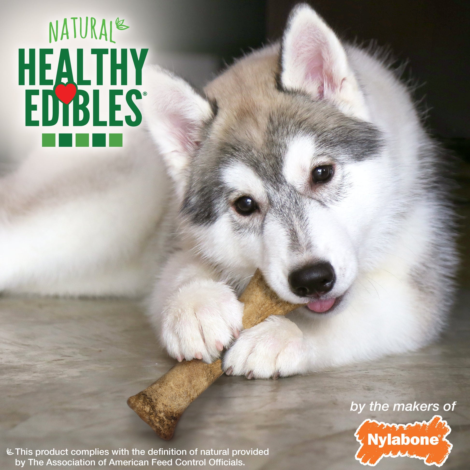 Nylabone Healthy Edibles All-Natural Long Lasting Puppy Dog Chew, view 6
