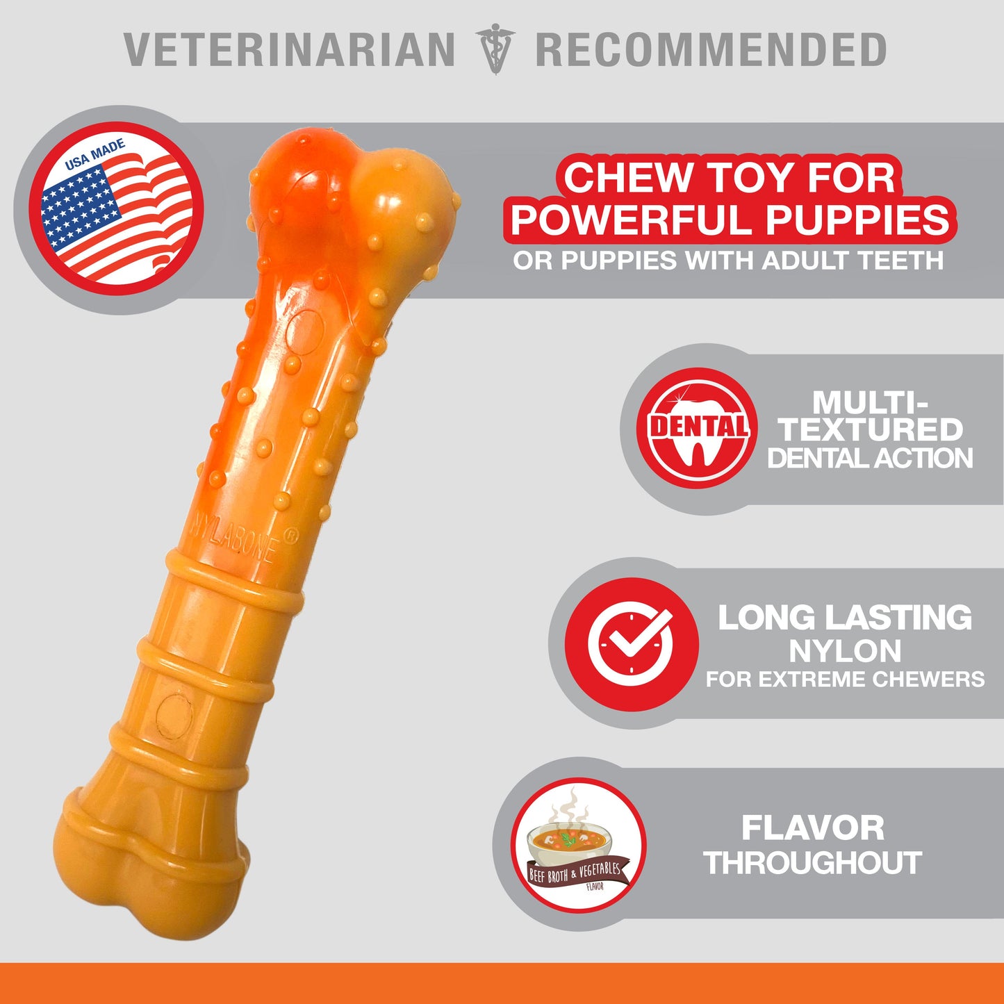 Nylabone Textured Nylon Puppy Chew Dog Toy Beef & Vegetable, view 2