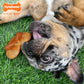 Nylabone Power Chew Pretzel Dog Toy Bacon Peanut Butter, view 2
