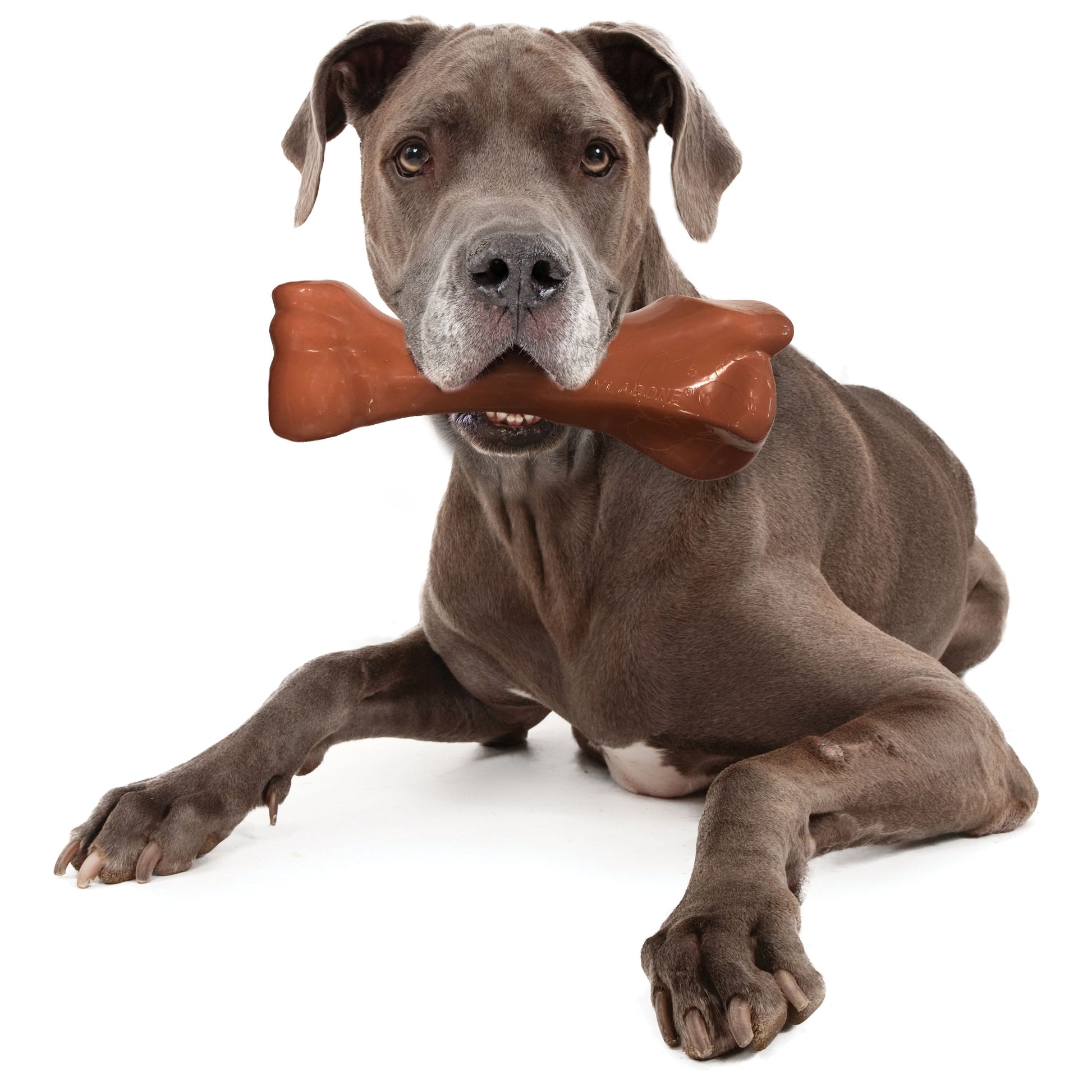 Nylabone Power Chew Knuckle Bone BIG Dog Chew Toy Bacon, view 12