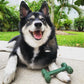Nylabone Power Chew EasyHold Dog Dental Chew Dog Toy Large/Giant up to, view 7
