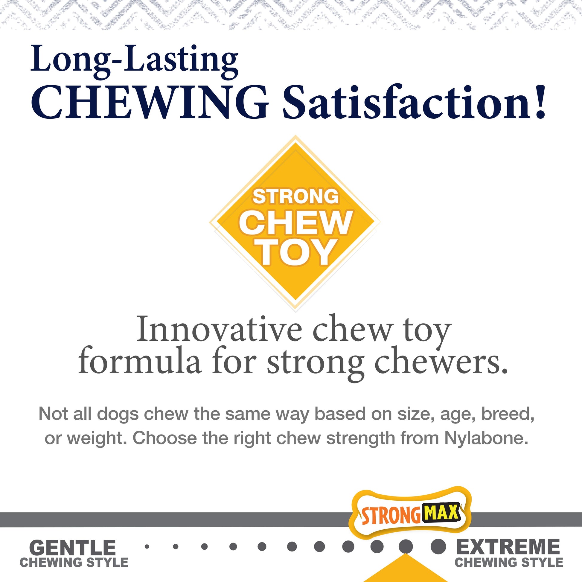 Nylabone Gourmet Style Strong Chew Wishbone Dog Chew Toy Chicken, view 9