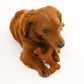 Nylabone Gourmet Style Strong Chew Wishbone Dog Chew Toy Bacon, view 5