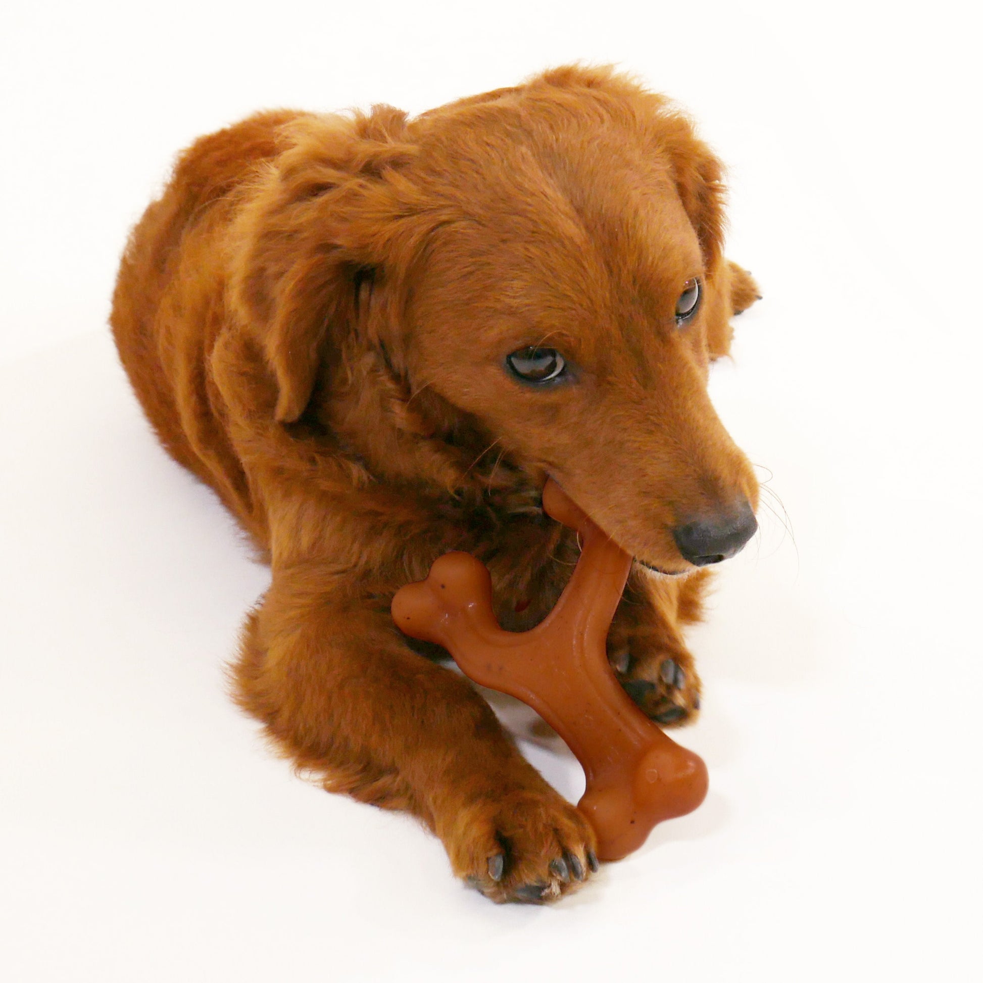 Nylabone Gourmet Style Strong Chew Wishbone Dog Chew Toy Bacon, view 5