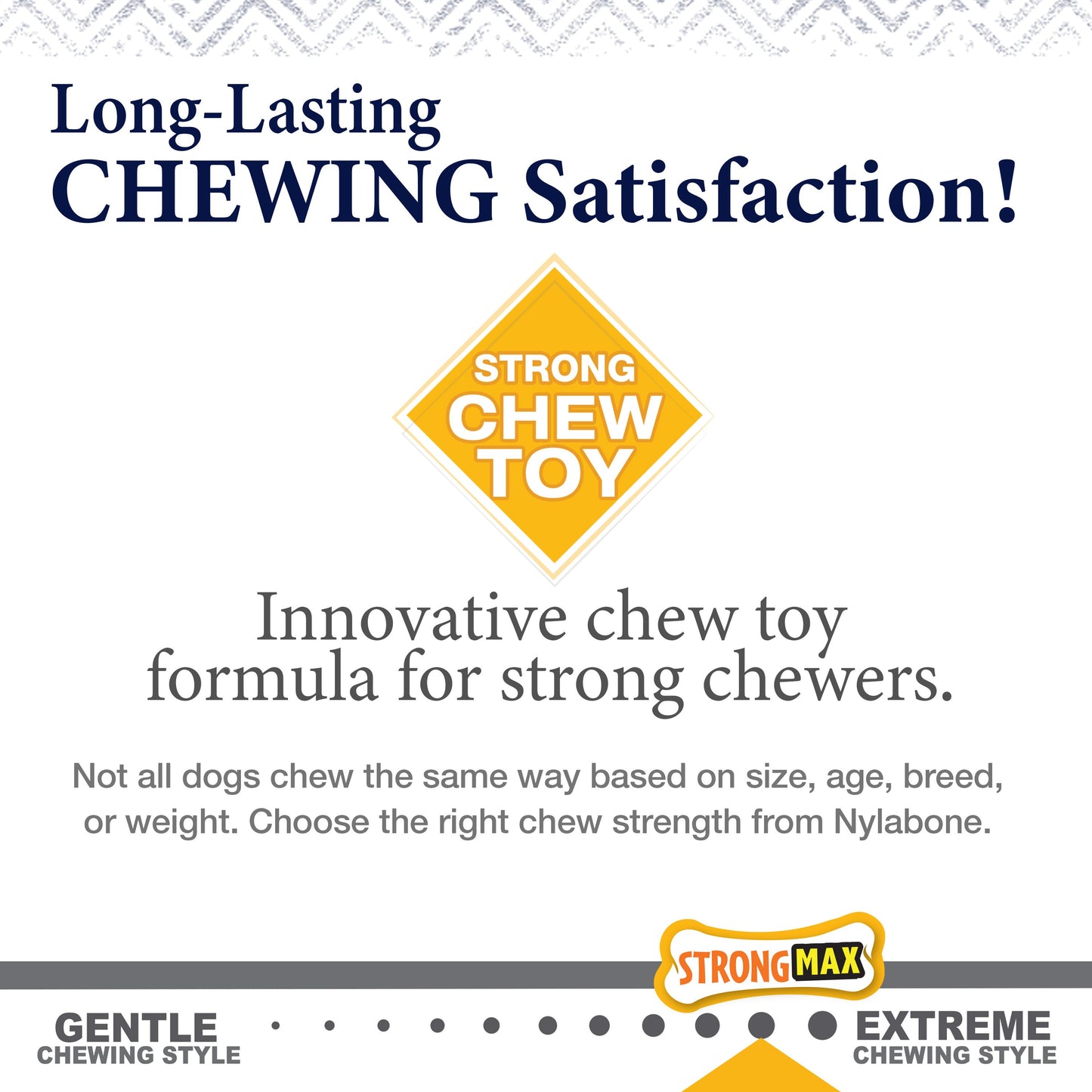 Nylabone Gourmet Style Strong Chew Wishbone Dog Chew Toy Bacon, view 10
