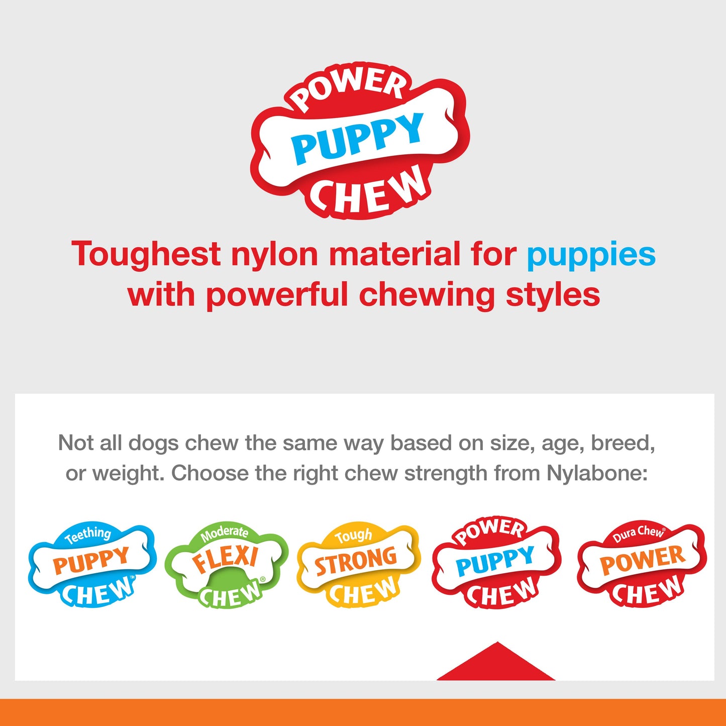 Nylabone Puppy Power Chew Souper Bone PopIn Puppy Treat Dog Toy Combo, view 7