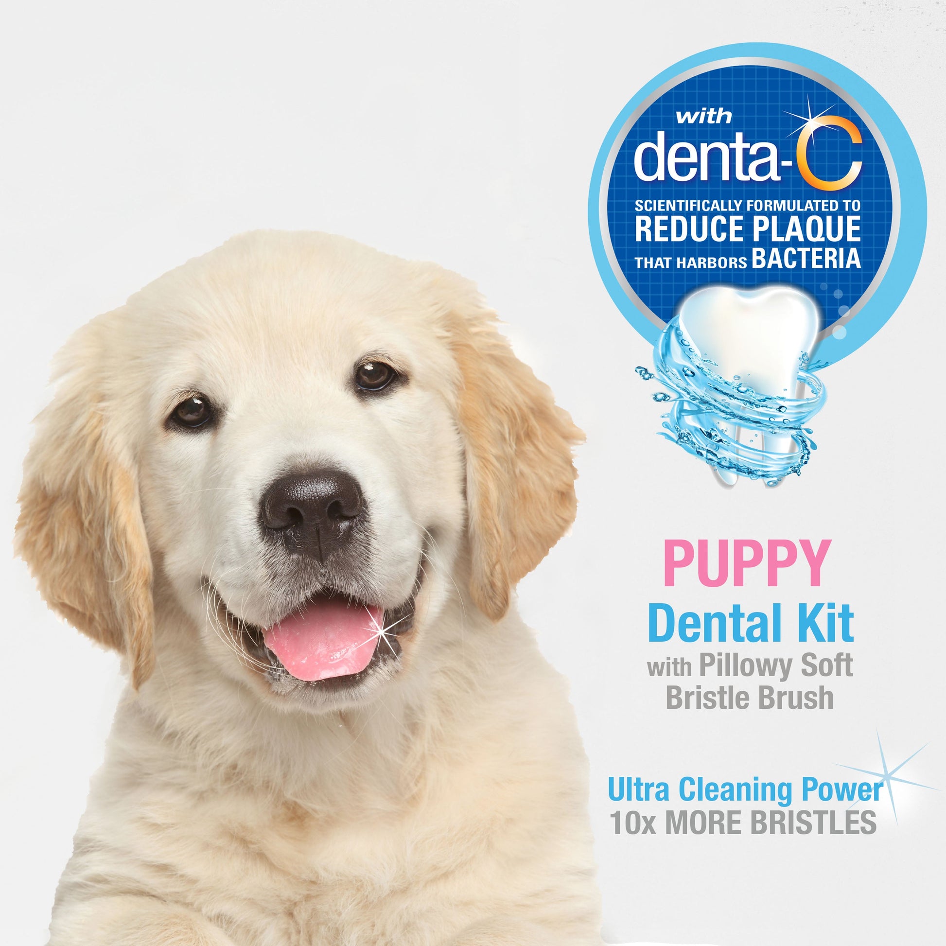Nylabone Advanced Oral Care Puppy Dental Kit with Pillowy SoftBristle, view 2