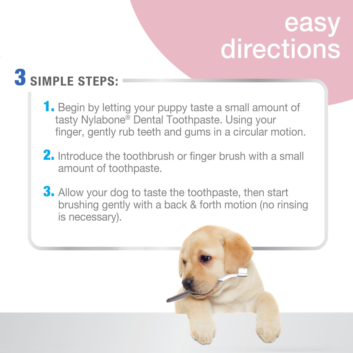 Nylabone Advanced Oral Care Puppy Dental Kit with Pillowy SoftBristle, view 4