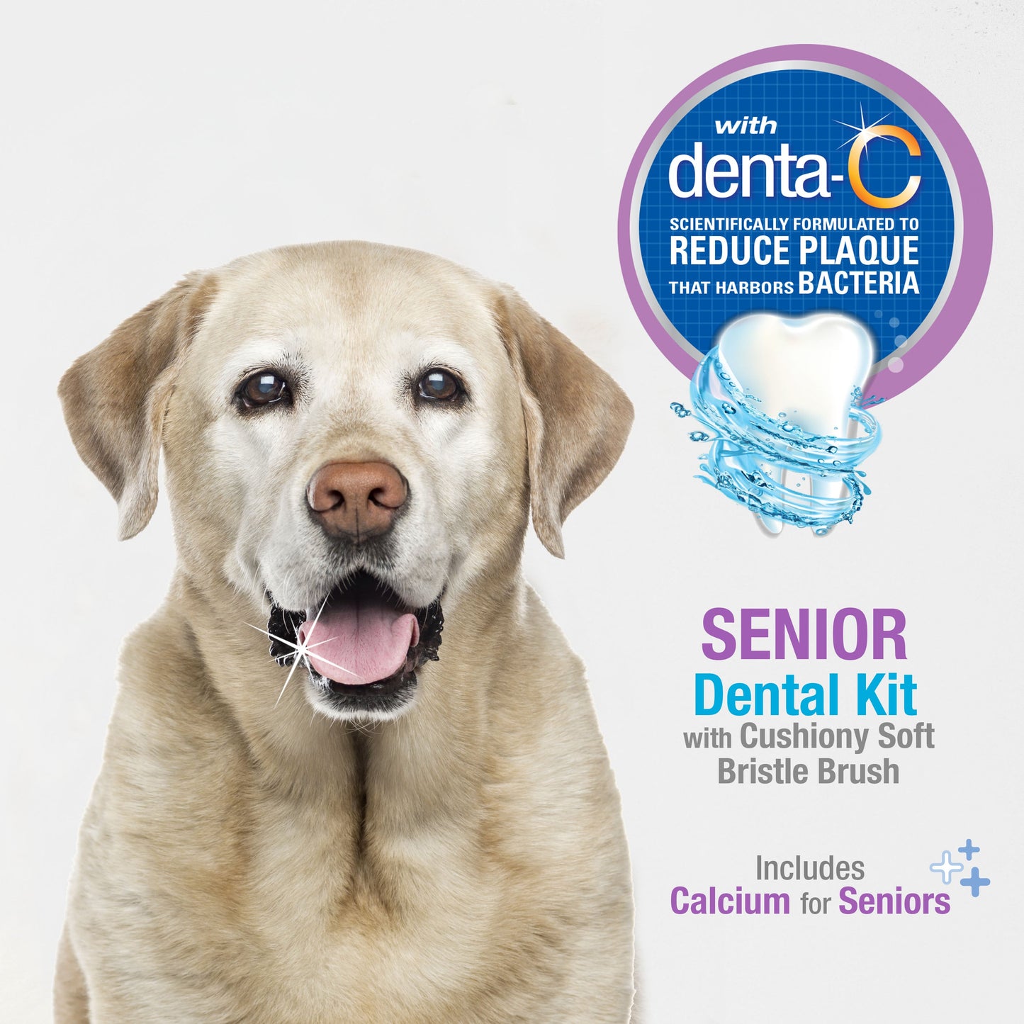Nylabone Advanced Oral Care Senior Dog Dental Kit with Cushiony, view 2