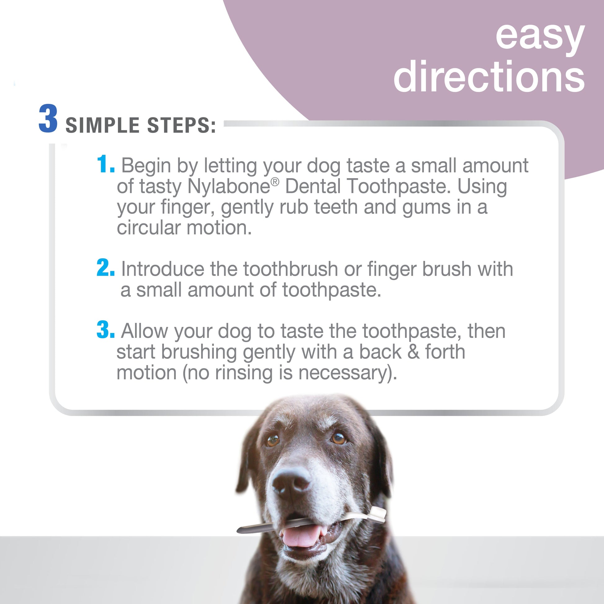 Nylabone Advanced Oral Care Senior Dog Dental Kit with Cushiony, view 6