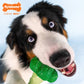 Nylabone Power Chew Broccoli Dog Toy Bacon Cheese, view 4