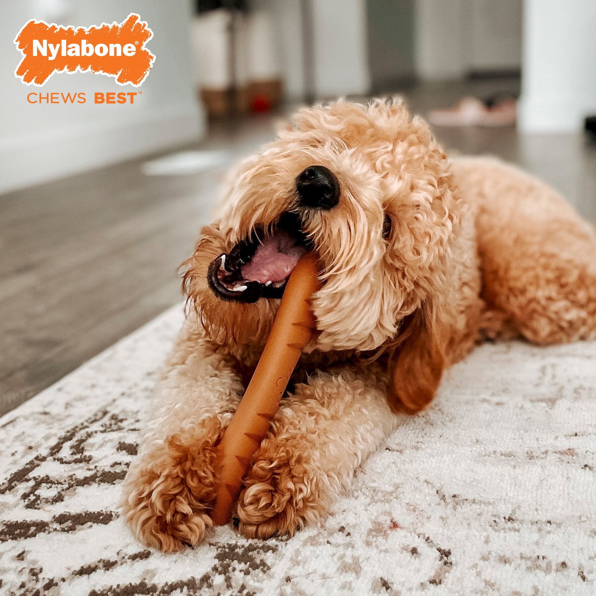 Nylabone Power Chew Baguette Dog Toy Roast Chicken, view 4