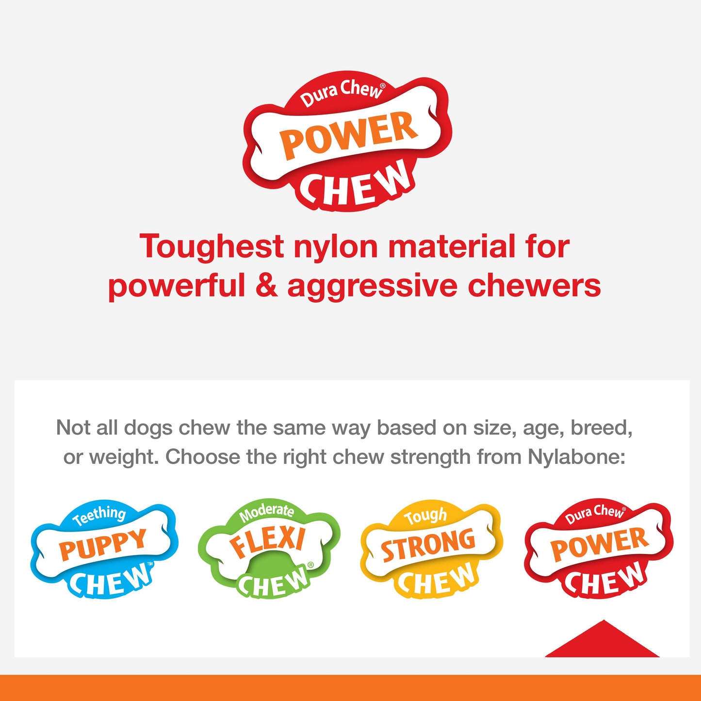 Nylabone Power Chew Baguette Dog Toy Roast Chicken, view 7