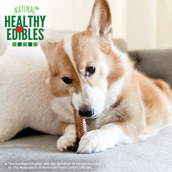 Nylabone Healthy Edibles Meaty Center All-Natural Long Lasting Dog, view 3