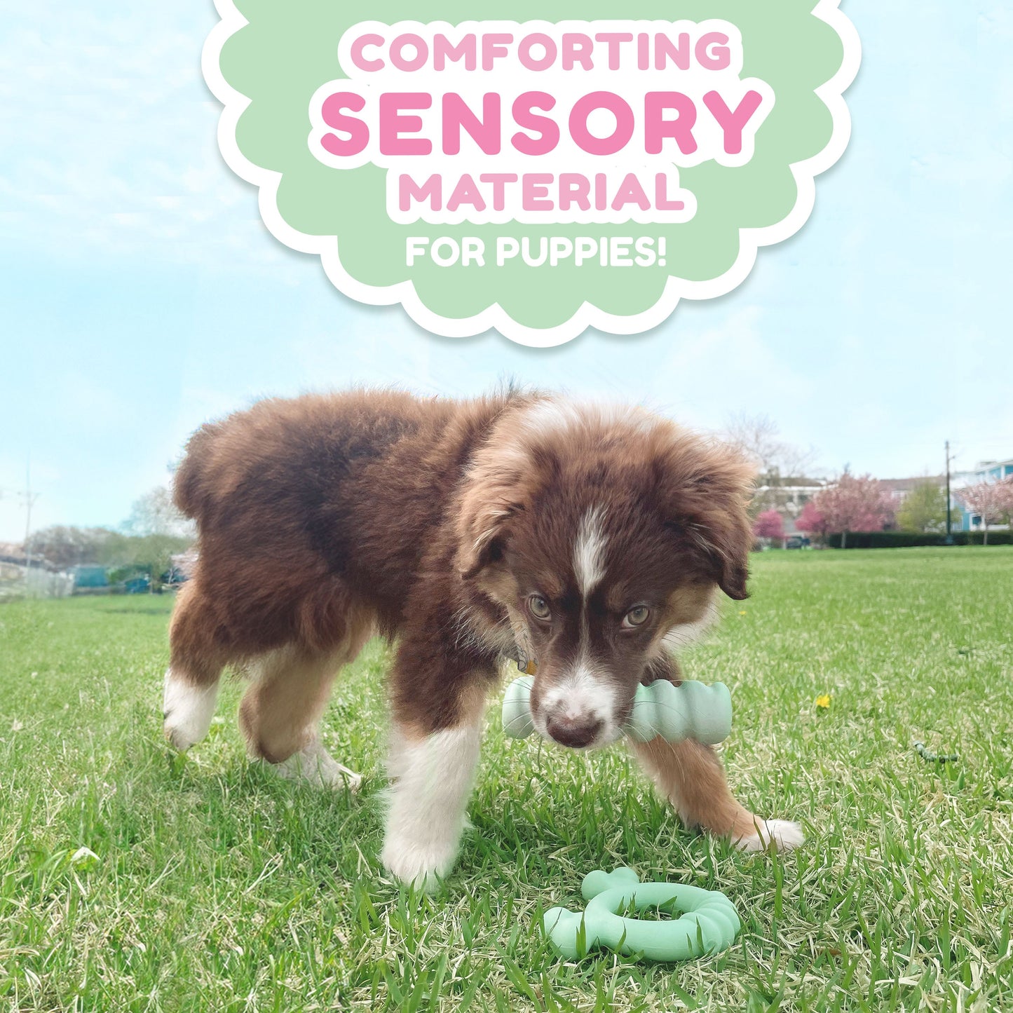 Nylabone Sensory Material Puppy Teething Ring Chicken, view 3