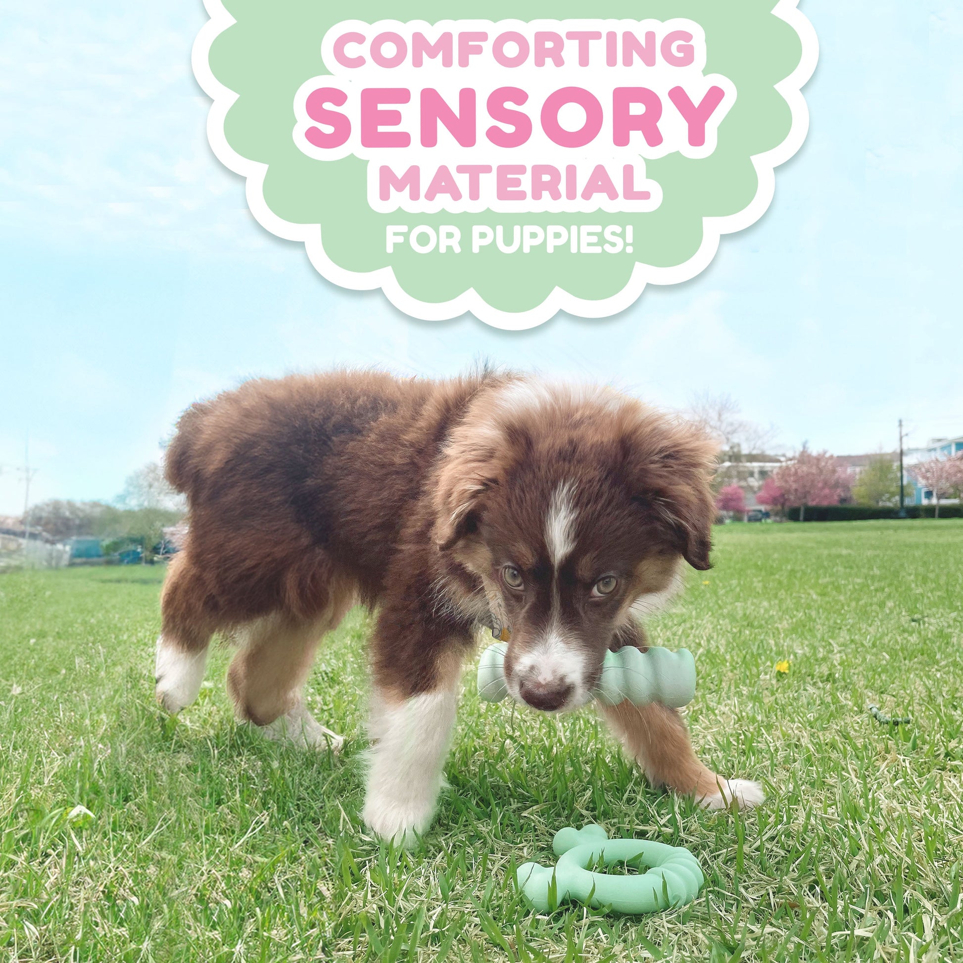 Nylabone Sensory Material Puppy Teething Ring Chicken, view 3