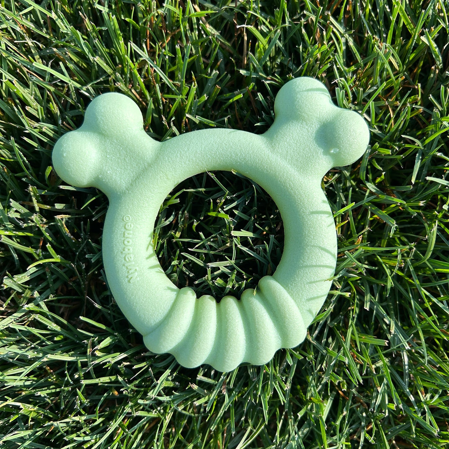 Nylabone Sensory Material Puppy Teething Ring Chicken, view 8