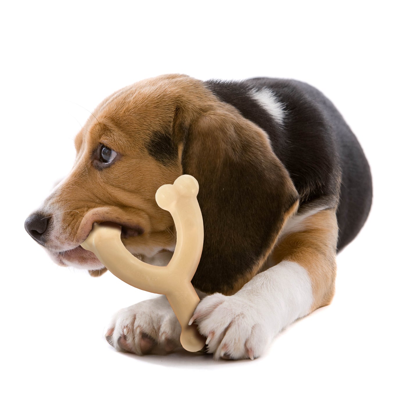 Nylabone Power Chew Original Wishbone Dog Toy Adult Dog Original, view 7