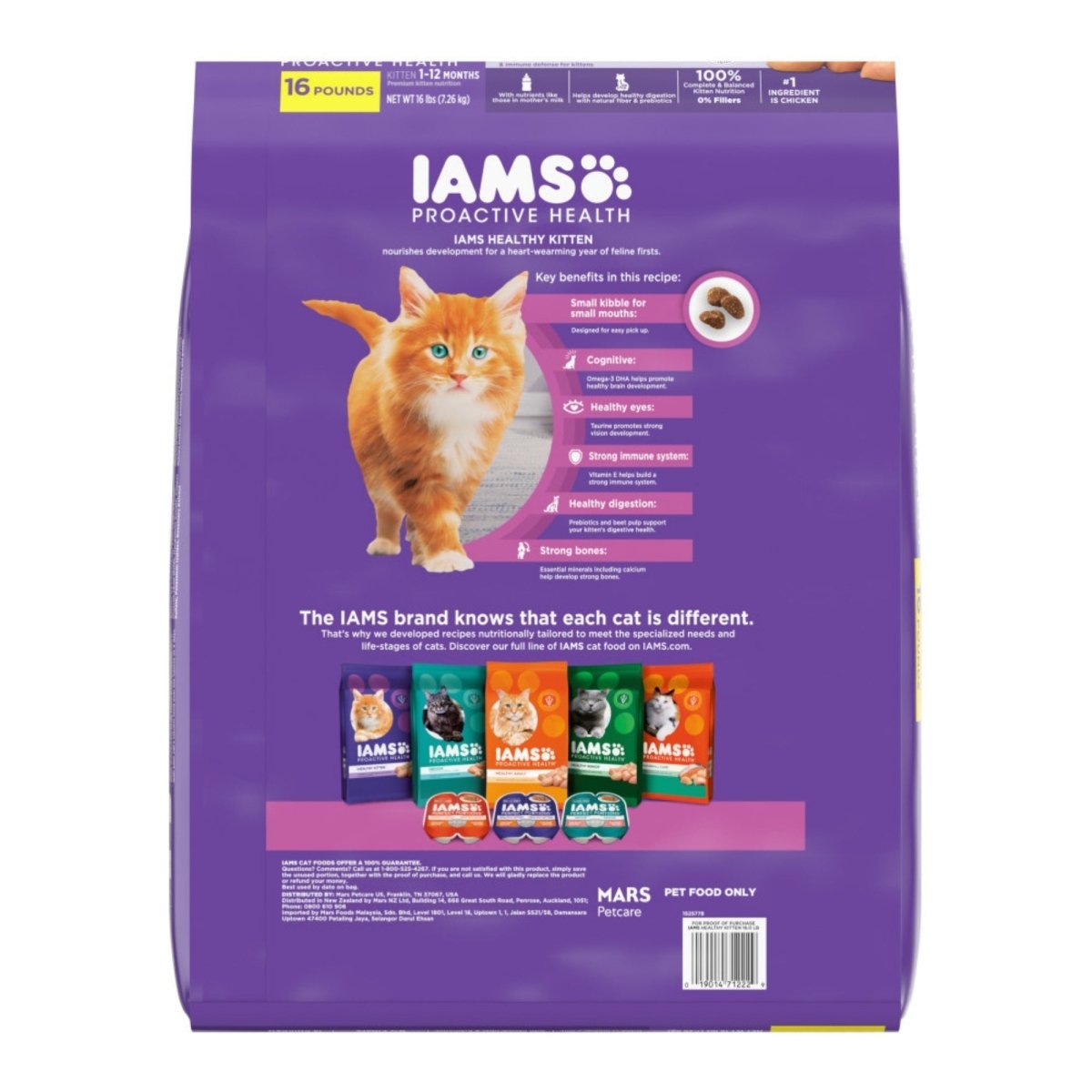 IAMS Proactive Health Kitten Dry Cat Food Chicken 16lb - Pets Perfect