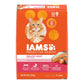 IAMS Proactive Health Adult Dry Cat Food Salmon 16lb - Pets Perfect
