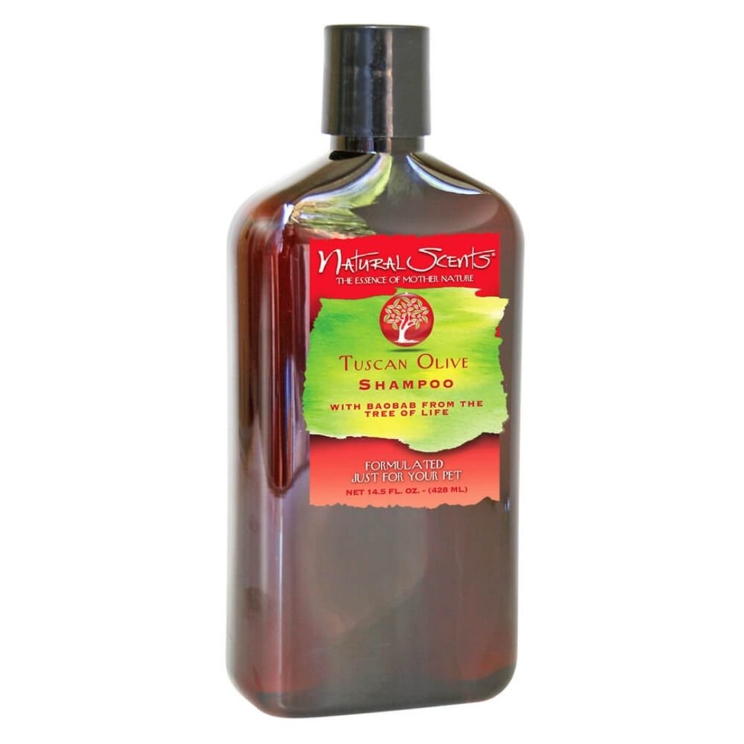 Bio Groom Tuscan Olive Shampoo 1ea/14.5 fl oz - Pets Perfect