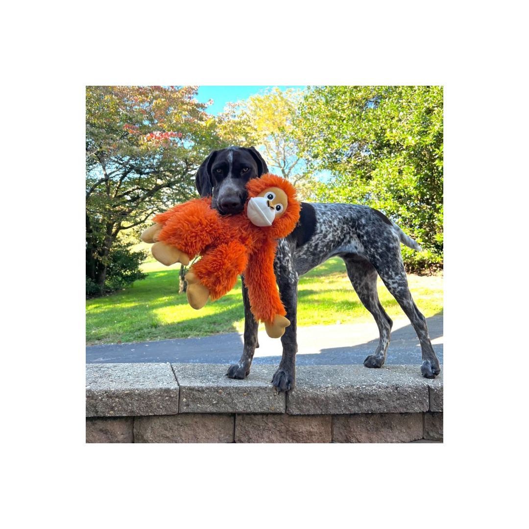 Tall Tails Dog Rope Orangutan, 14 in, view 2