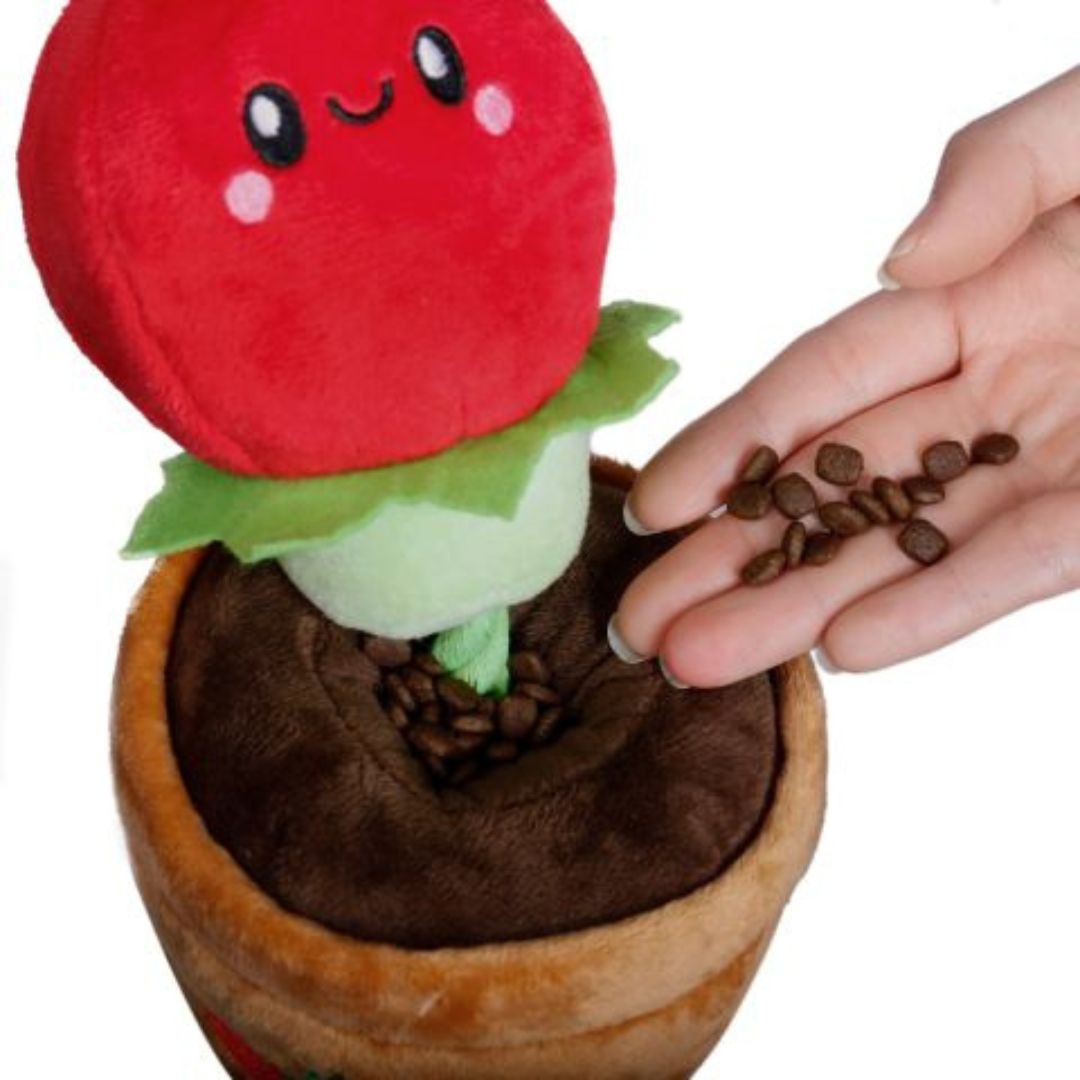 Territory Dog Treat Tug Tomato 15 in, view 3