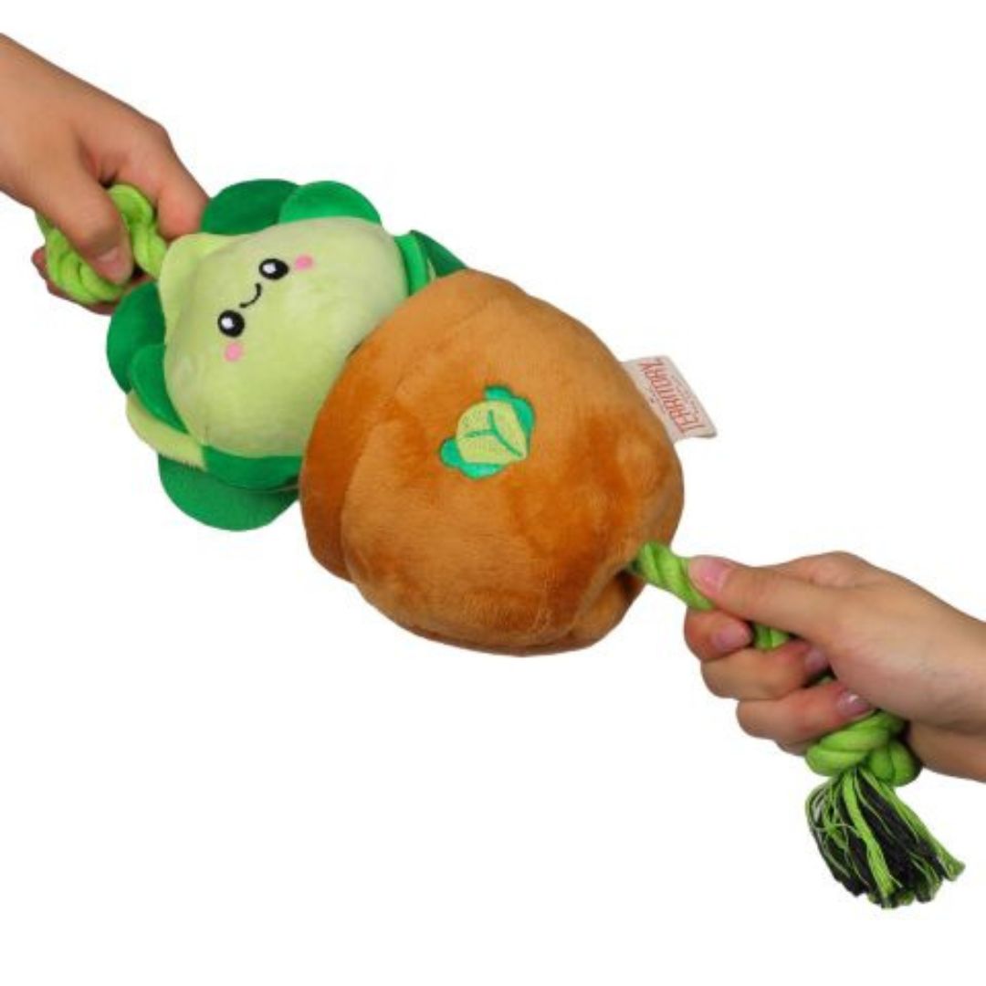 Territory Dog Treat Tug Lettuce 15 in