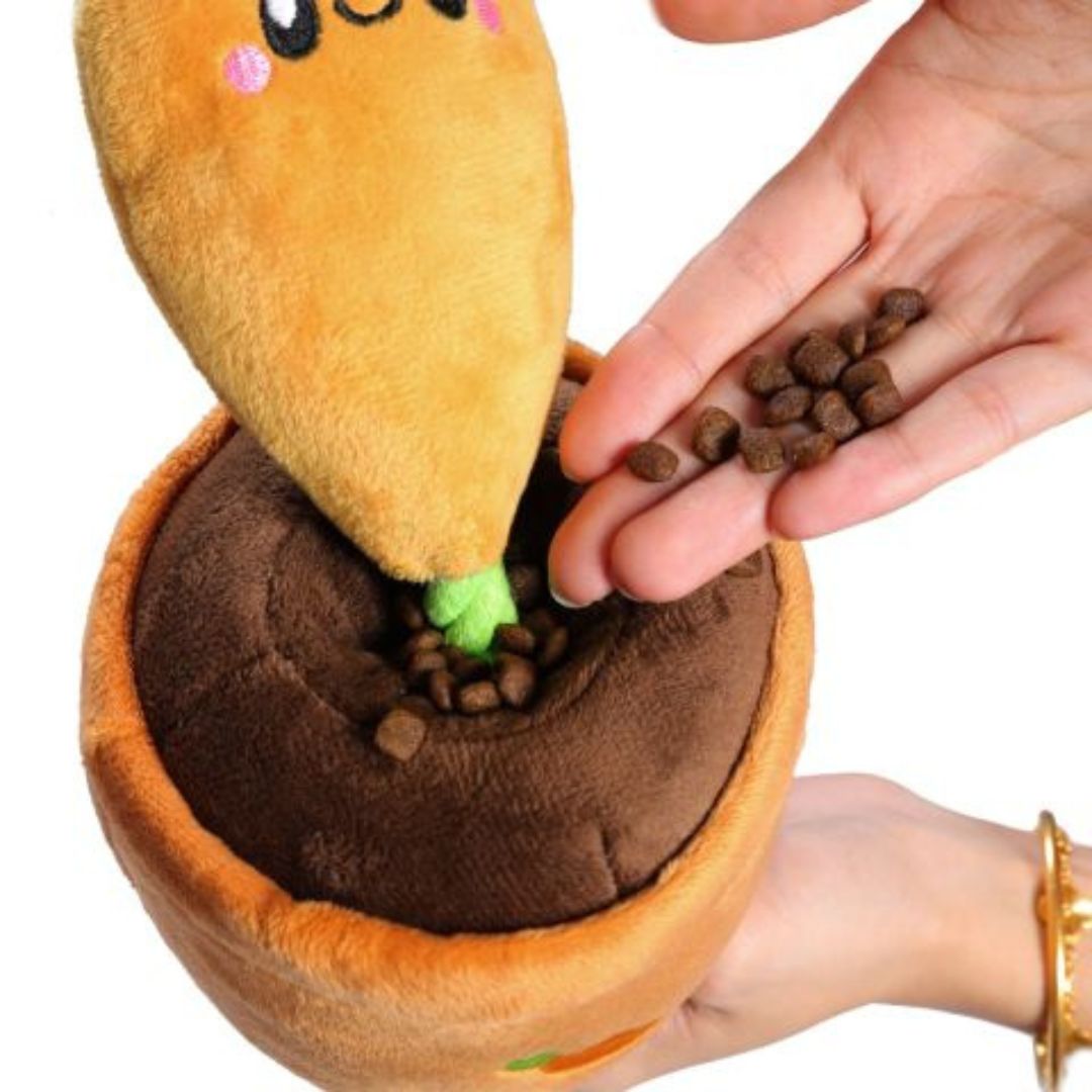 Territory Dog Treat Tug Carrot 15 in, view 2