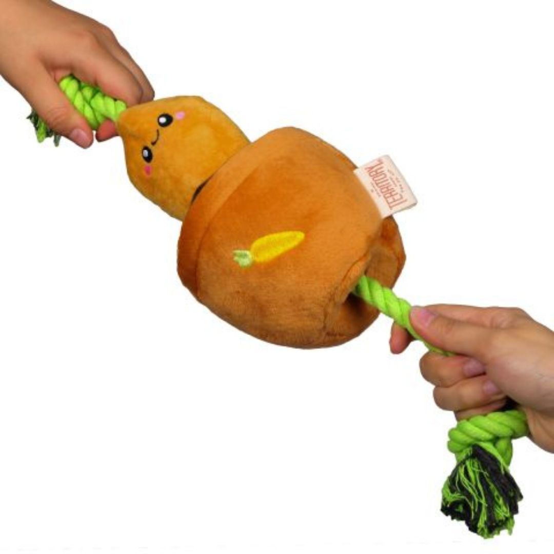 Territory Dog Treat Tug Carrot 15 in