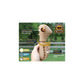 Tall Tails Dog Bully Stick Holder Dog Chew Extra Large 8 in, view 2