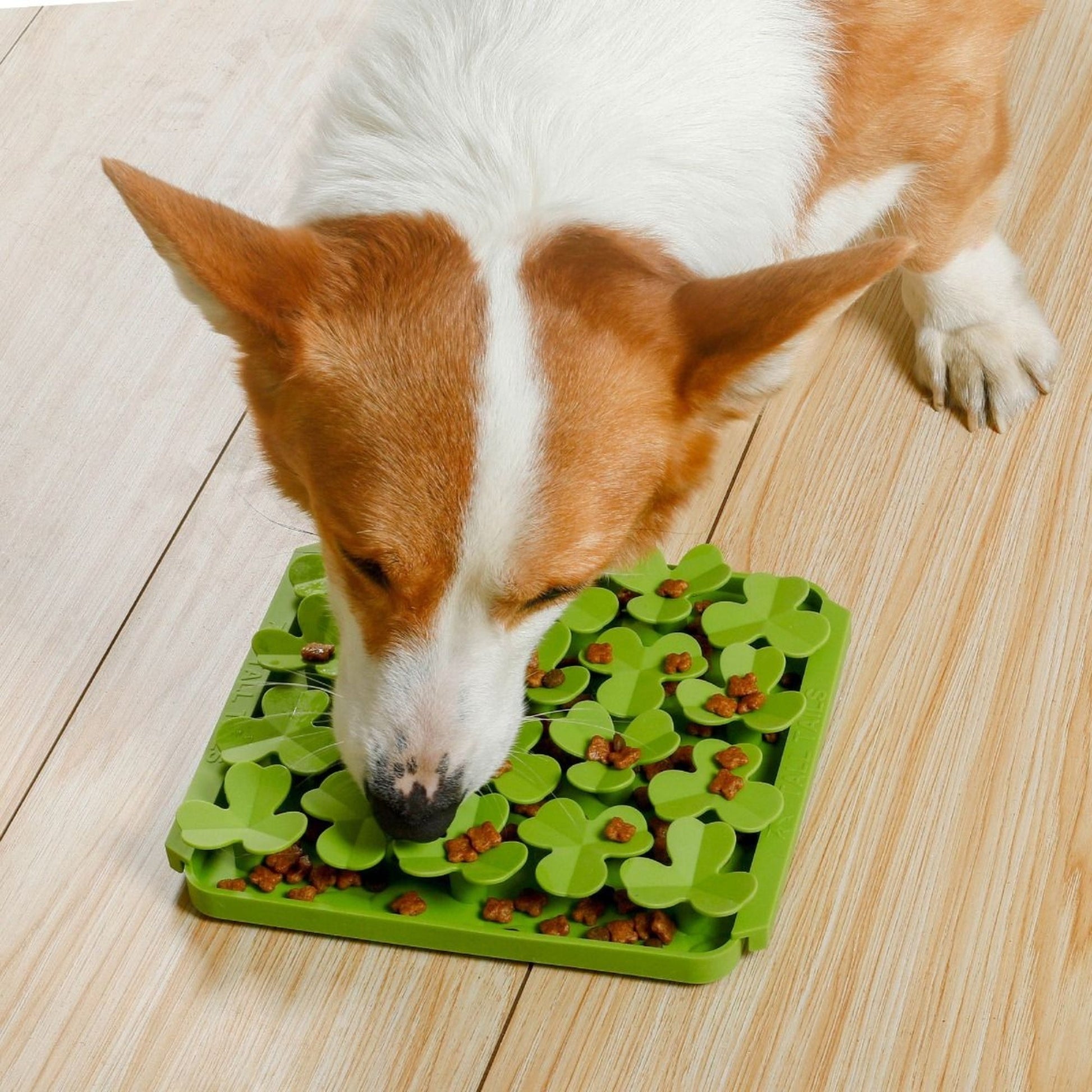 Tall Tails Dog Foraging Mat Clover, view 3