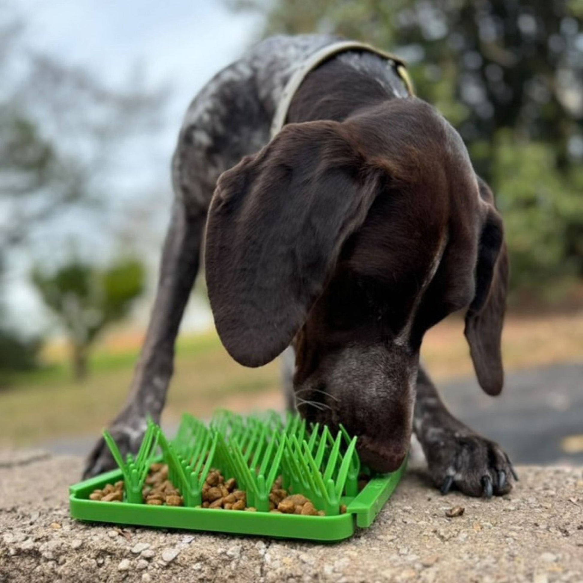 Tall Tails Dog Foraging Mat Grass, view 3