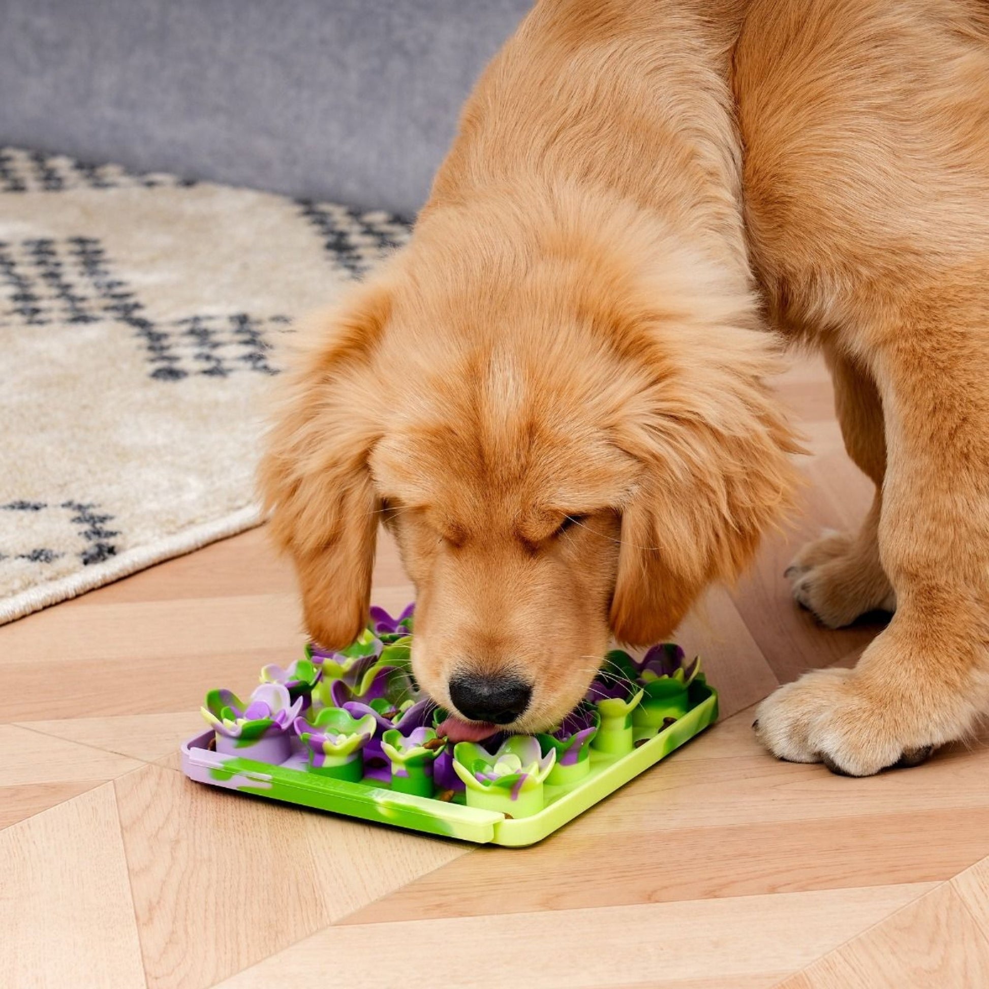 Tall Tails Dog Foraging Mat Succulent Garden, view 2