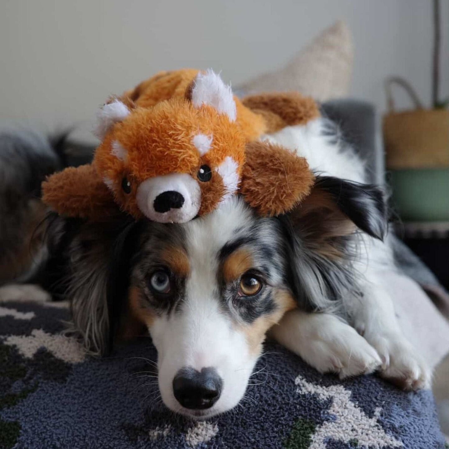 Tall Tails Dog Stuffless Red Panda 16 in, view 2