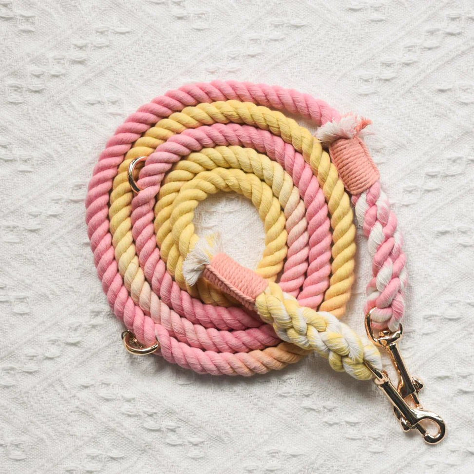 Hands-Free Dog Rope Dog Leash - Oh My Marshmallow, view 3