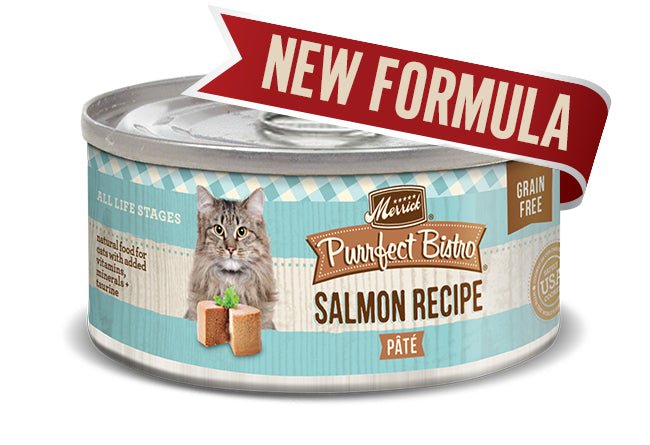 Merrick Cat Purrfect Bistro Salmon Pate 3oz. (Case of 24) - Pets Perfect